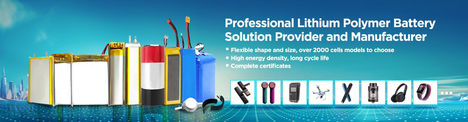 Lithium Polymer Battery