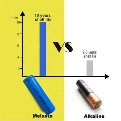 Lithium Iron Disulfide Battery Li Fes2 Batteries AA FR14505 FR6 1.5V 3000mAh To Replace Energizer L91 Ultimate Lithium Batteries